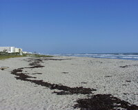 112 - Beach at Cocoa Beach